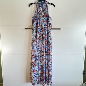 NWT Taylor Chiffon Maxi Dress in Aquamarine Mauve